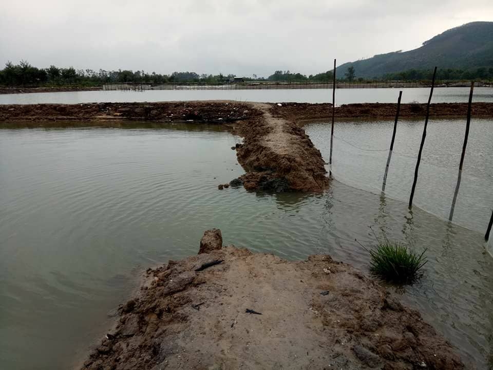 Mưa lớn làm vỡ hồ tôm ở thôn Cảnh Dương